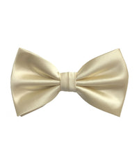 Thumbnail for Brand Q Bow Ties