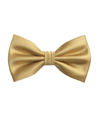 Thumbnail for Brand Q Bow Ties