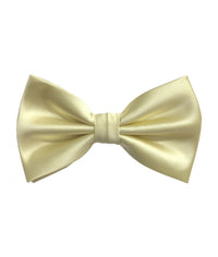 Thumbnail for Brand Q Bow Ties