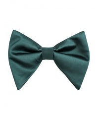 Thumbnail for Brand Q Large Bow Ties