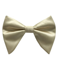 Thumbnail for Brand Q Large Bow Ties