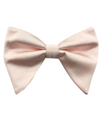 Thumbnail for Brand Q Large Bow Ties