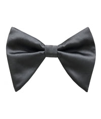 Thumbnail for Brand Q Large Bow Ties