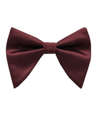 Thumbnail for Brand Q Large Bow Ties