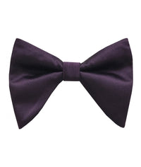 Thumbnail for Brand Q Large Bow Ties