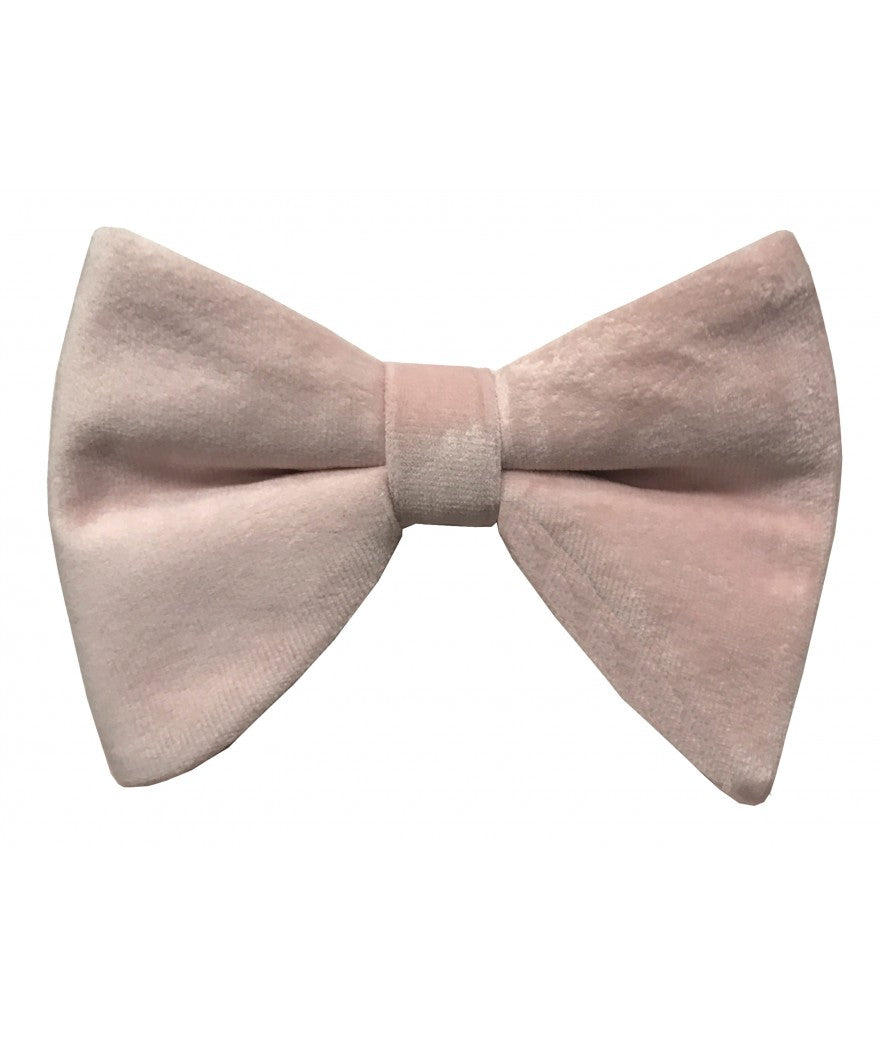 Brand Q Large Velvet Bow Ties for Prom