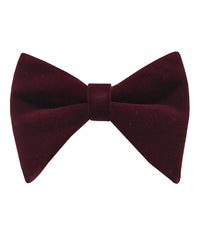 Thumbnail for Brand Q Large Velvet Bow Ties for Prom