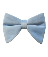 Thumbnail for Brand Q Large Velvet Bow Ties for Prom