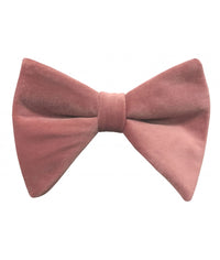 Thumbnail for Brand Q Large Velvet Bow Ties for Prom